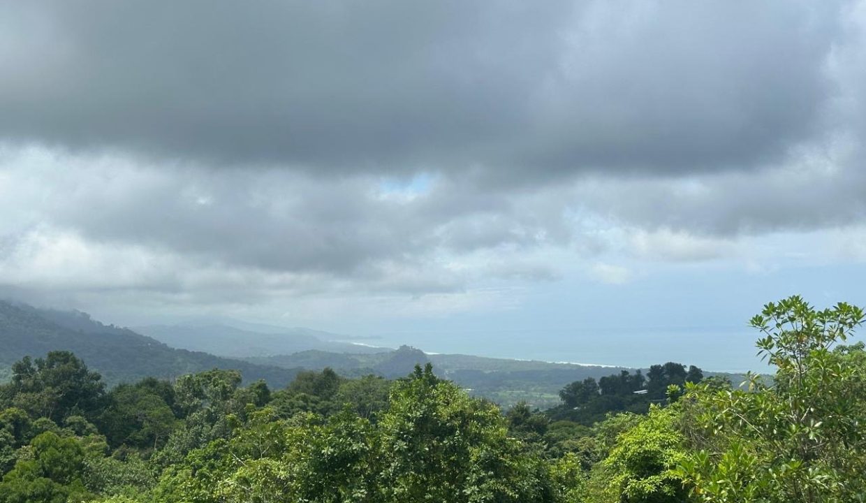 LOTE EN VENTA PORTALON OSA COSTA RICA (1)