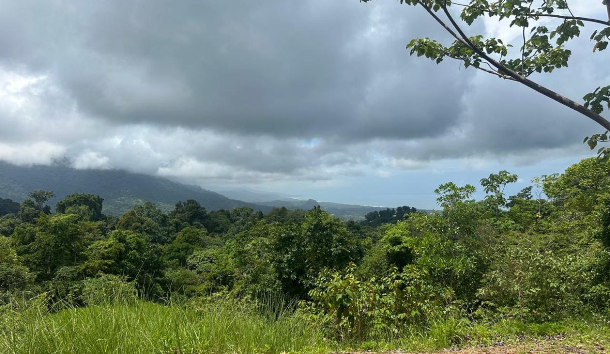LOTE EN VENTA PORTALON OSA COSTA RICA (10)