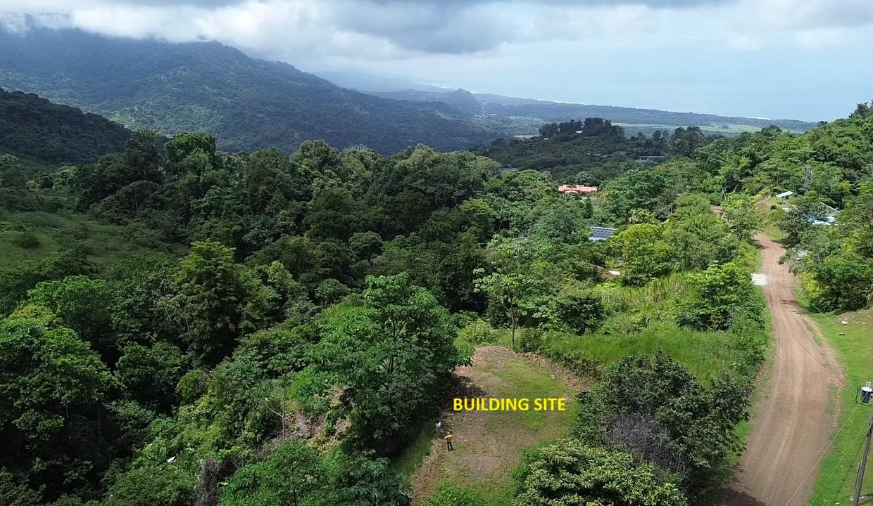 LOTE EN VENTA PORTALON OSA COSTA RICA (11)