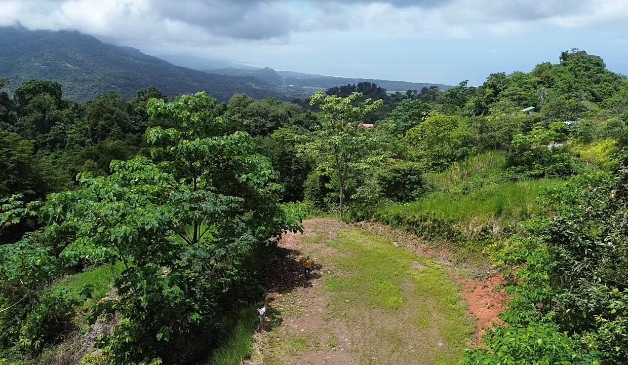 LOTE EN VENTA PORTALON OSA COSTA RICA (2)