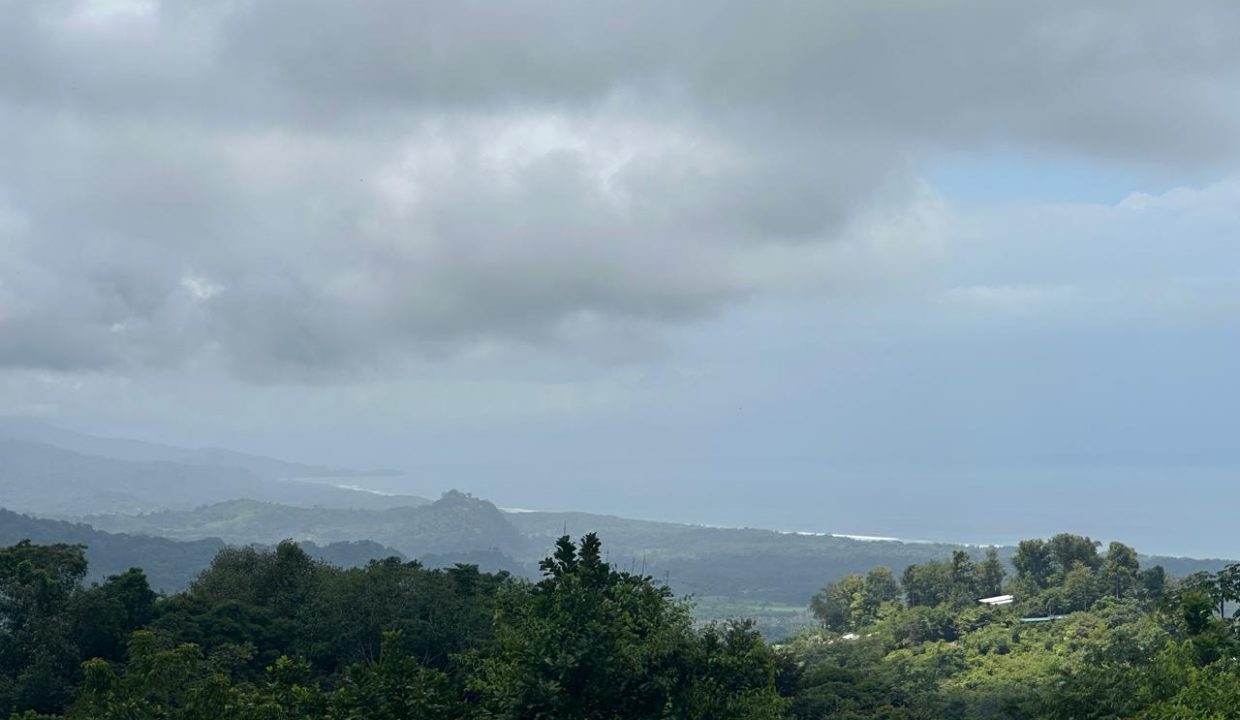 LOTE EN VENTA PORTALON OSA COSTA RICA (3)