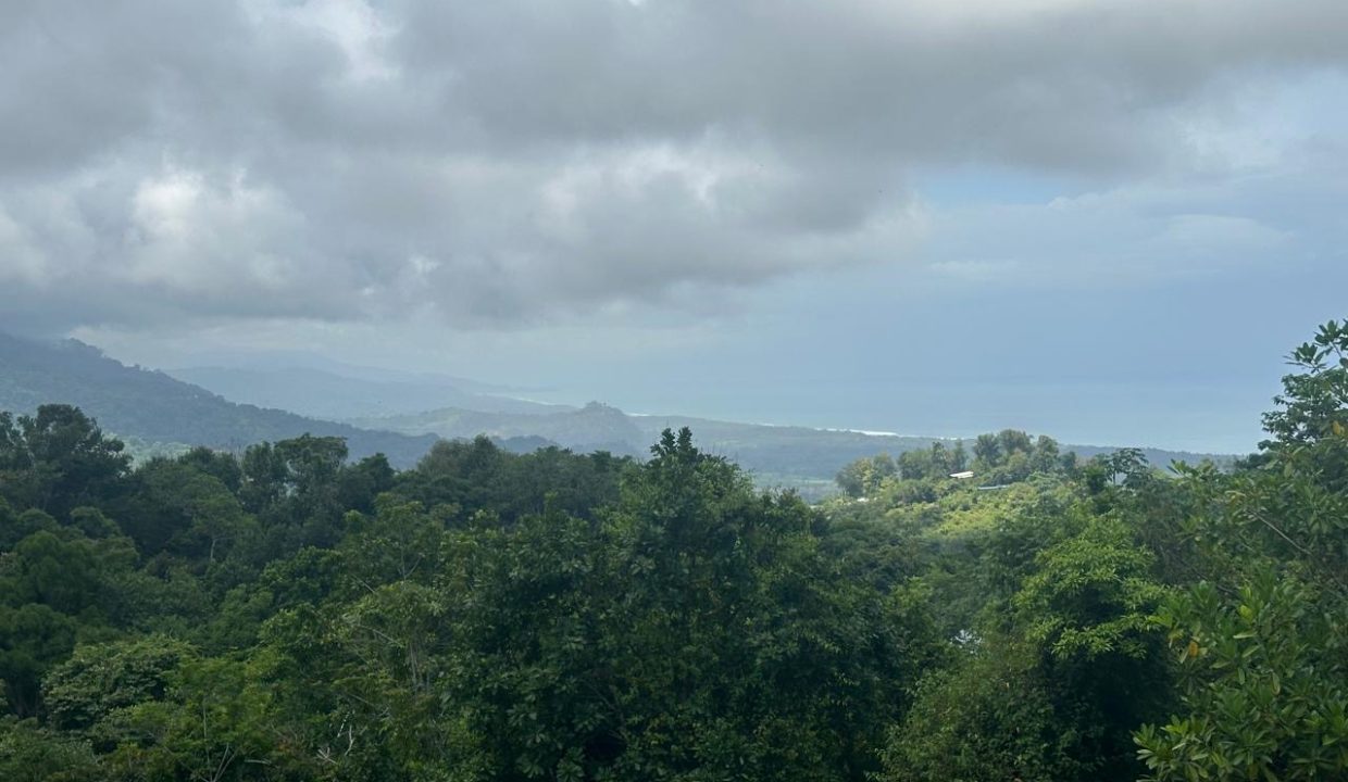 LOTE EN VENTA PORTALON OSA COSTA RICA (4)