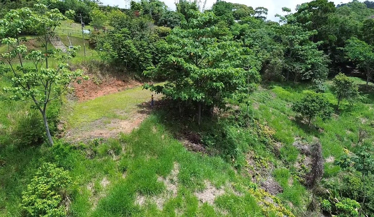 LOTE EN VENTA PORTALON OSA COSTA RICA (5)