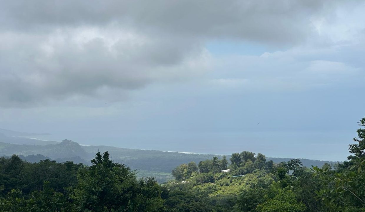 LOTE EN VENTA PORTALON OSA COSTA RICA (6)
