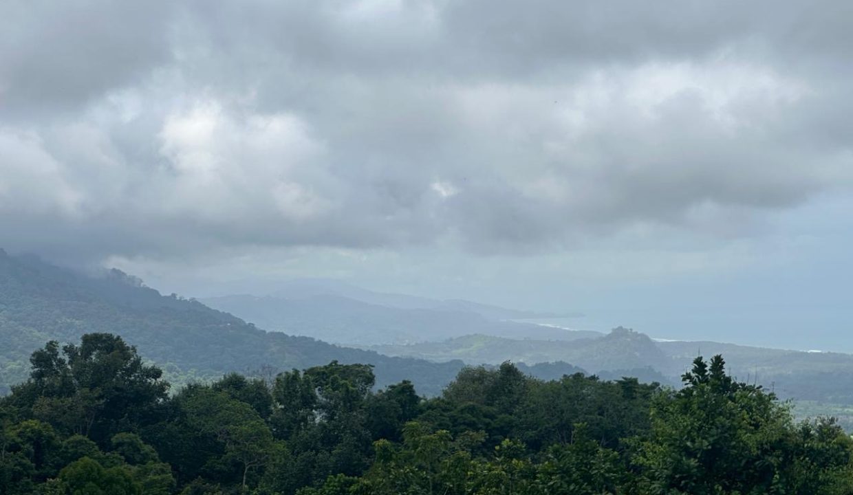 LOTE EN VENTA PORTALON OSA COSTA RICA (9)