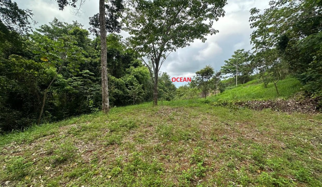 Lote en venta Portalon Osa Costa Rica (0)