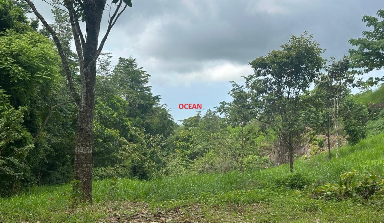 Lote en venta Portalon Osa Costa Rica (0.1)