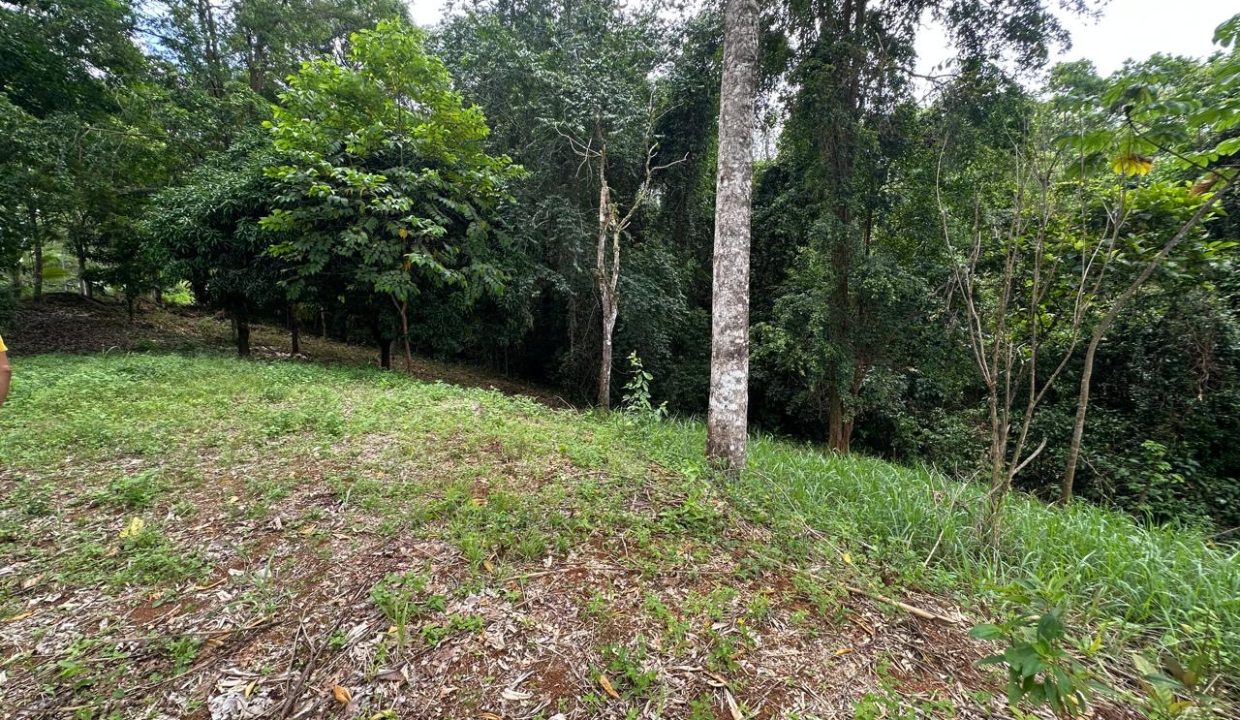 Lote en venta Portalon Osa Costa Rica (2)
