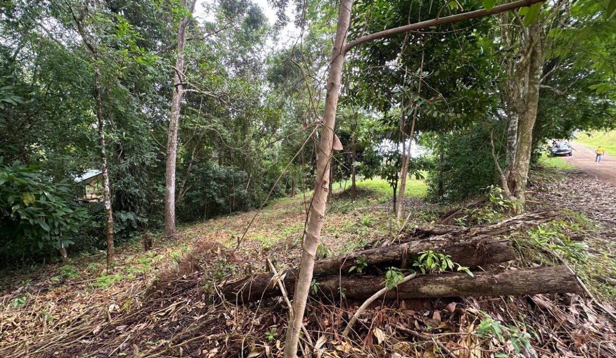 Lote en venta Portalon Osa Costa Rica (5)