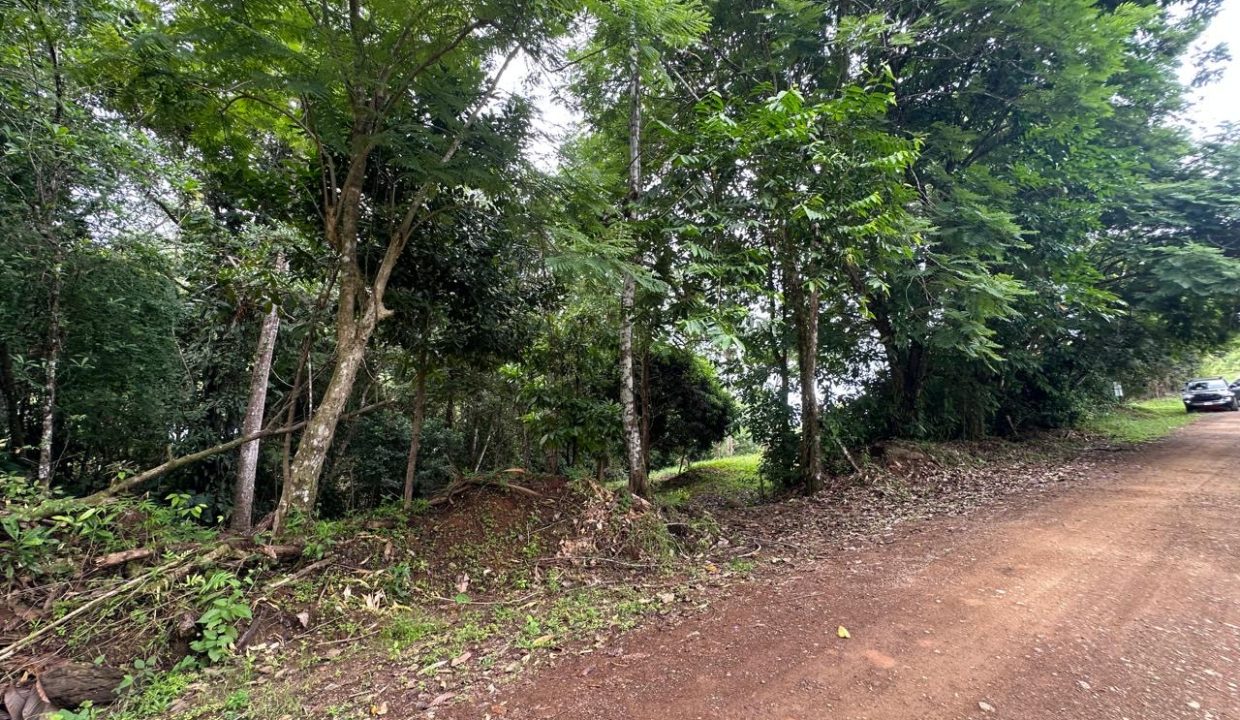 Lote en venta Portalon Osa Costa Rica (9)