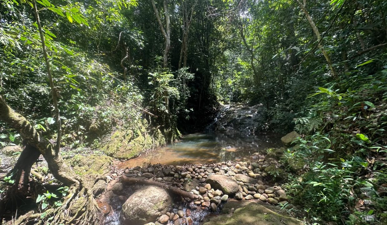 E Tomas venta casa santa rosa costa rica (1)
