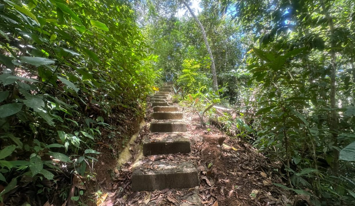 E Tomas venta casa santa rosa costa rica (10)