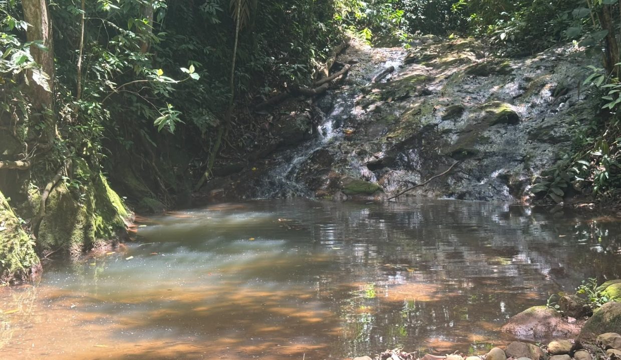 E Tomas venta casa santa rosa costa rica (12)