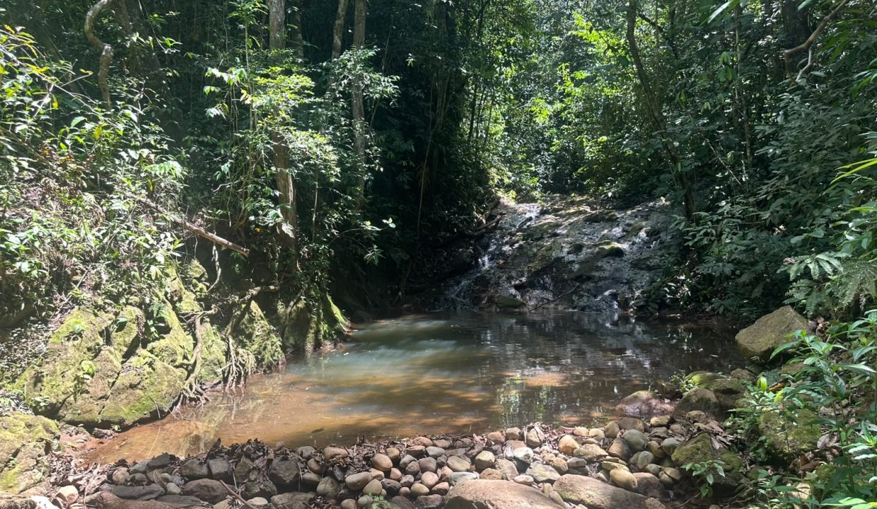 E Tomas venta casa santa rosa costa rica (13)