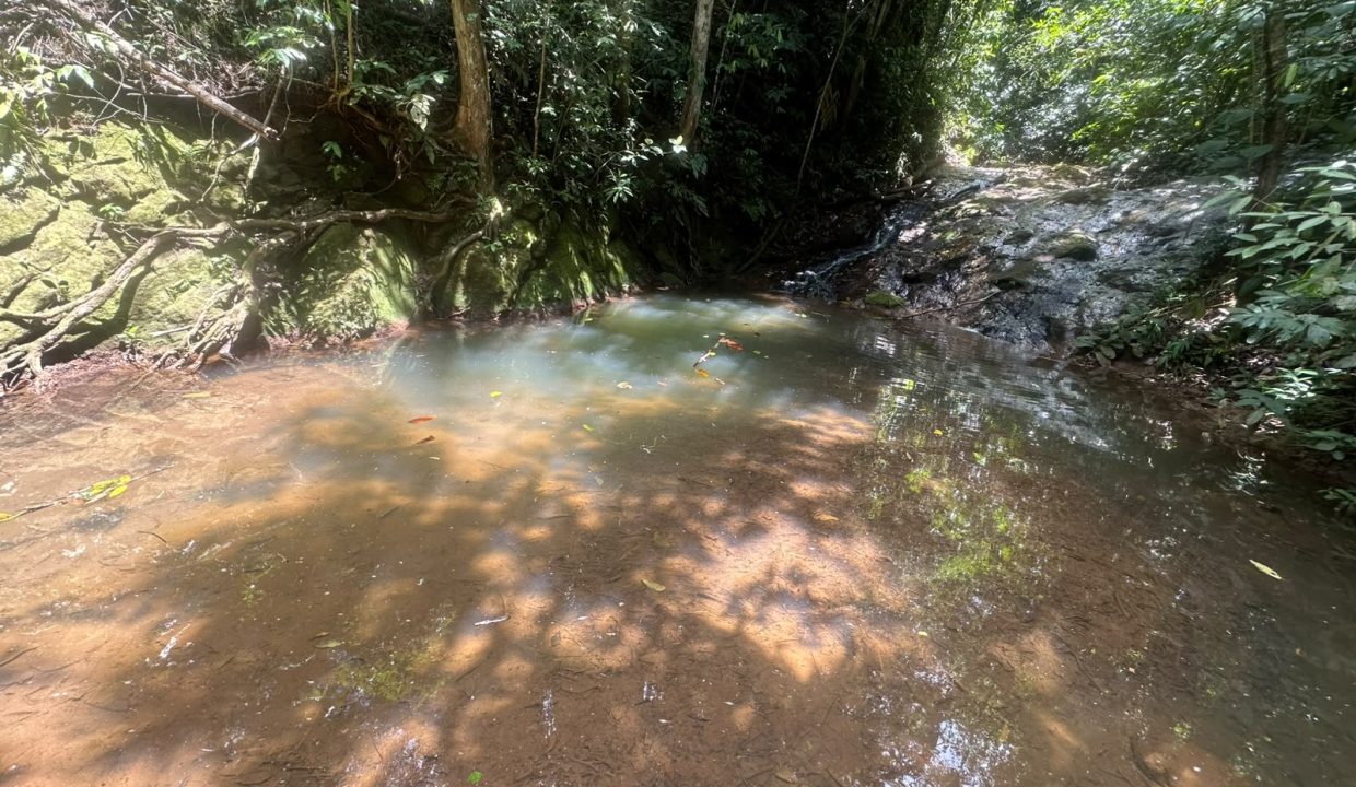 E Tomas venta casa santa rosa costa rica (3)