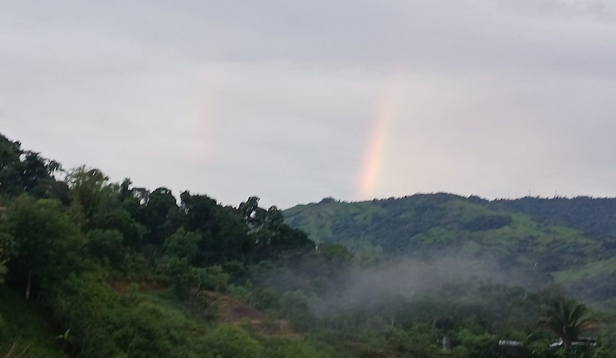 E Tomas venta casa santa rosa costa rica (3)