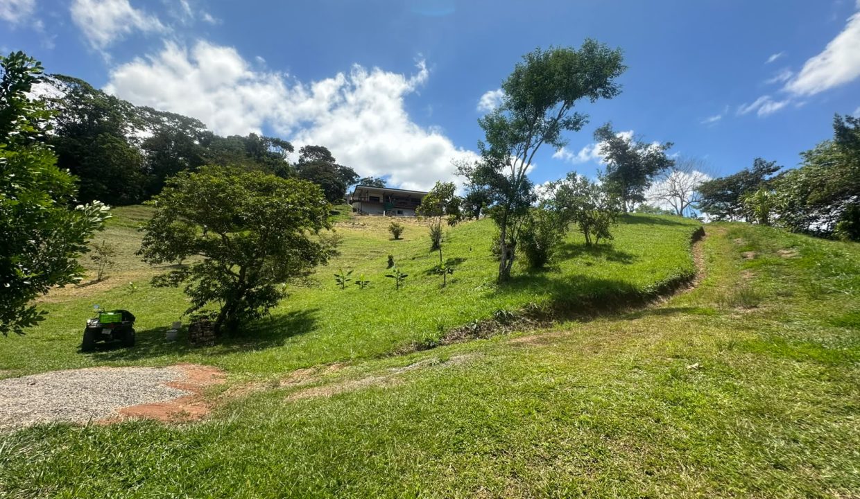 E Tomas venta casa santa rosa costa rica (4)