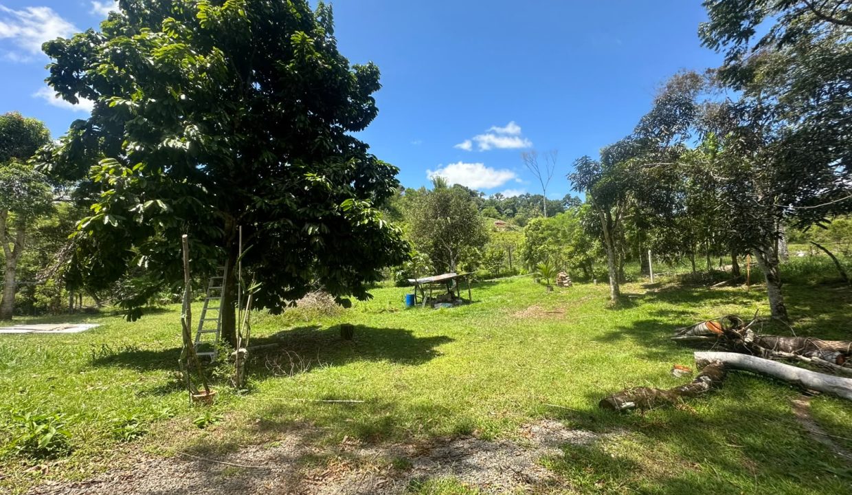 E Tomas venta casa santa rosa costa rica (5)