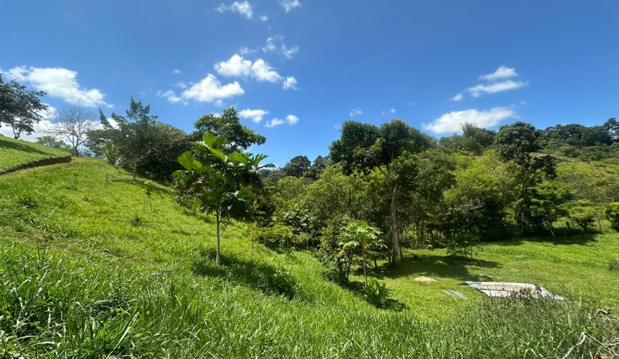 E Tomas venta casa santa rosa costa rica (7)