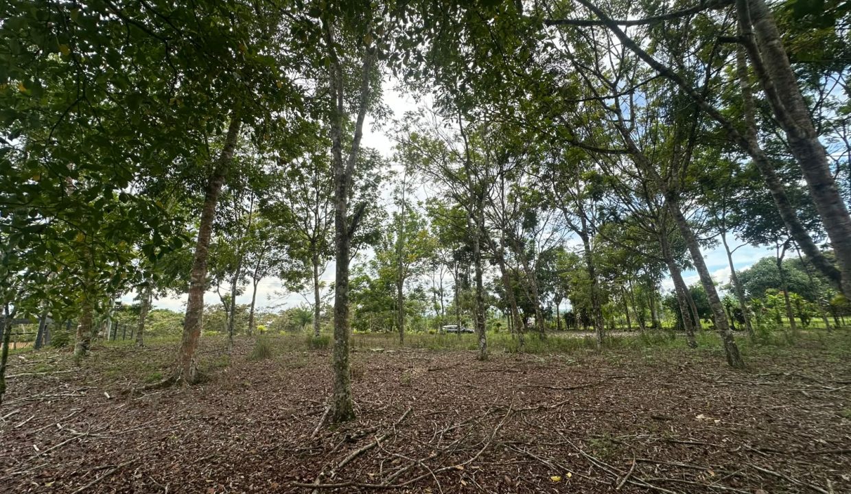 Lote en venta Perez Zeledon Costa Rica (0)