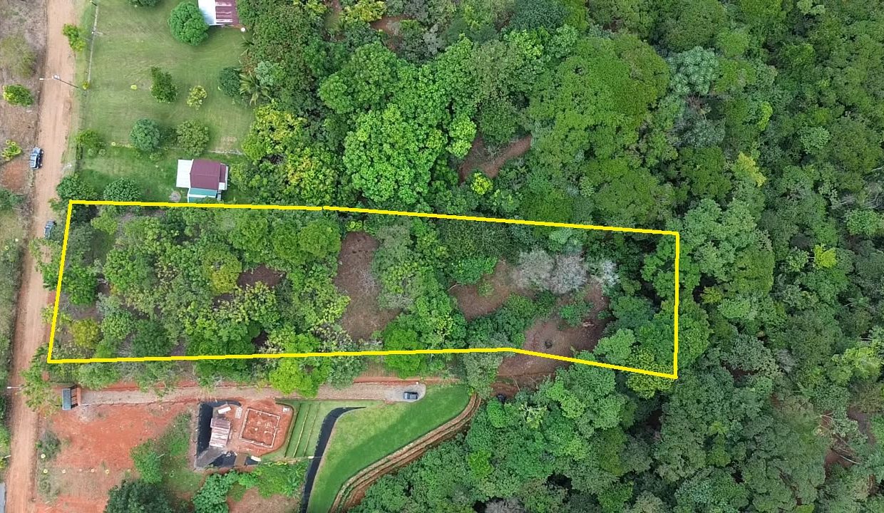 Lote en venta Perez Zeledon Costa Rica (0.1)
