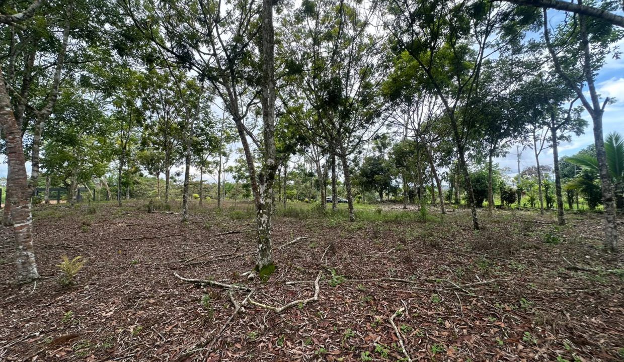 Lote en venta Perez Zeledon Costa Rica (0.5)