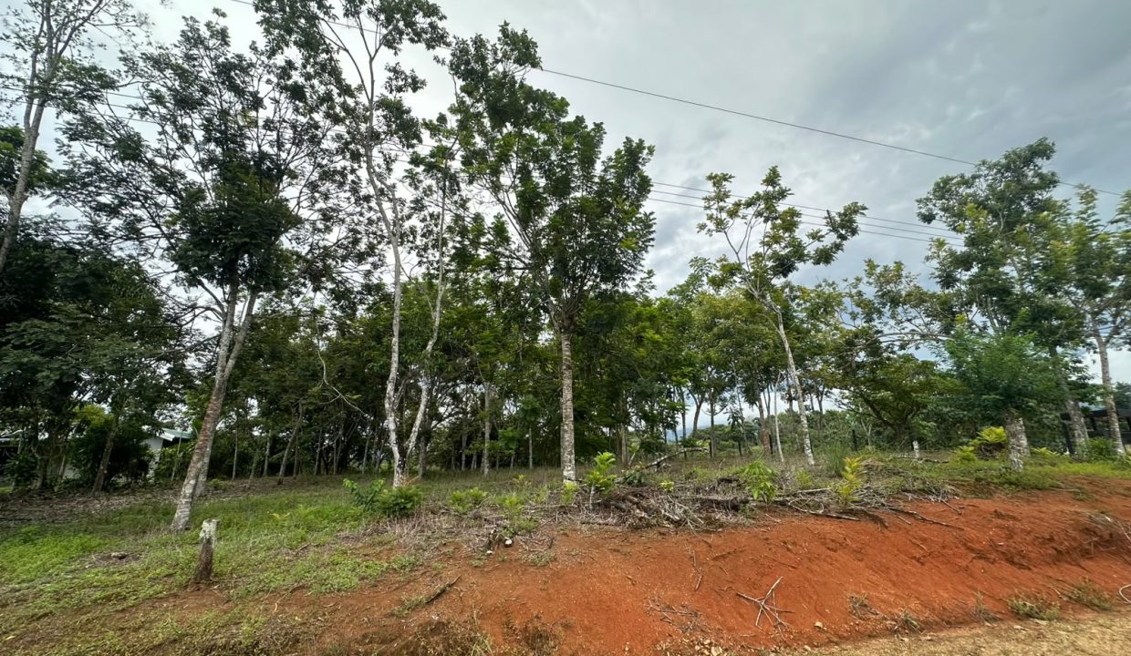 Lote en venta Perez Zeledon Costa Rica (0.6)