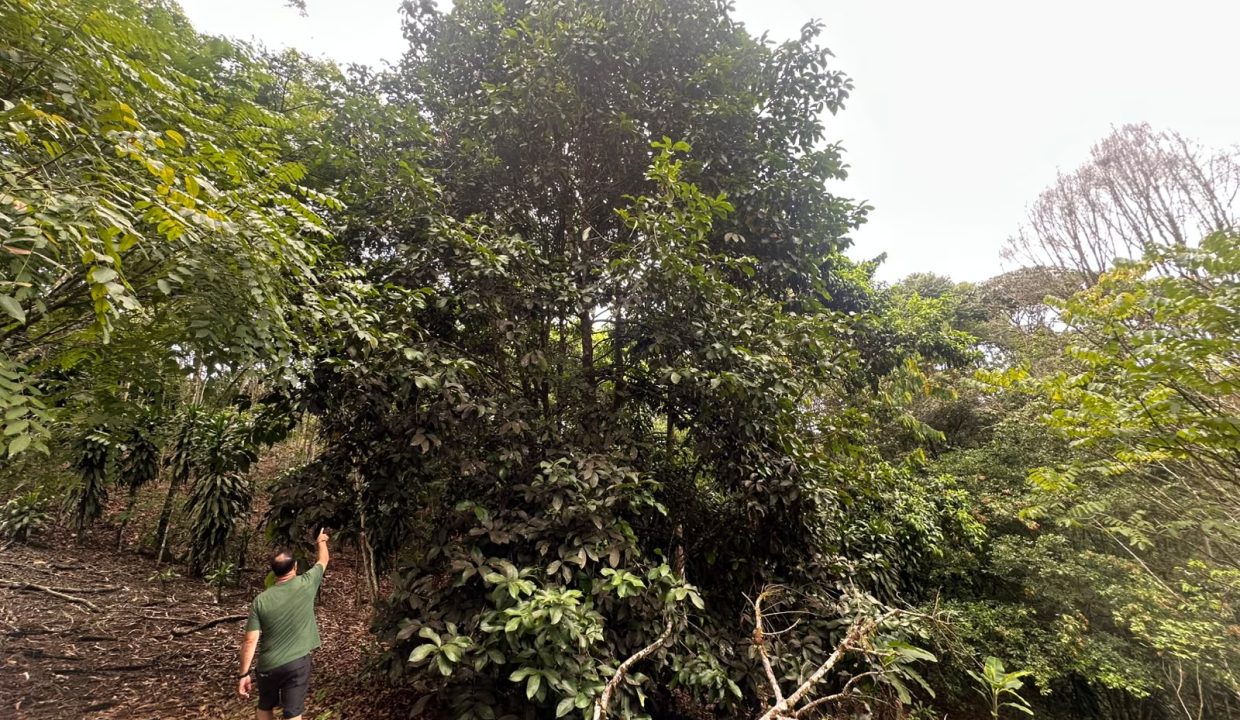 Lote en venta Perez Zeledon Costa Rica (0.7)