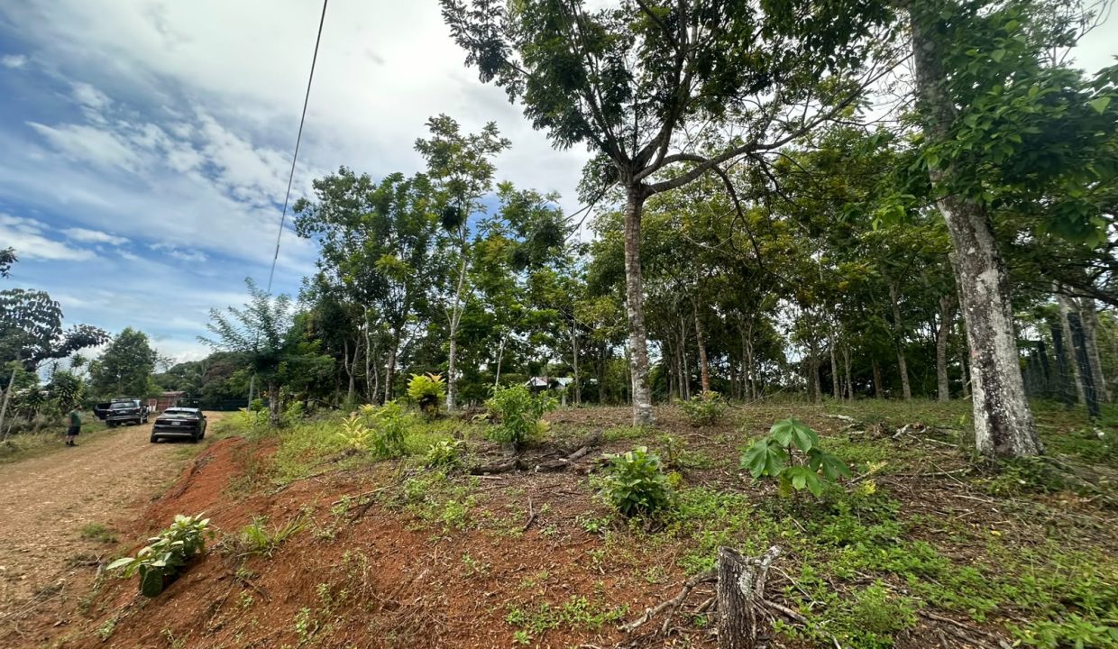 Lote en venta Perez Zeledon Costa Rica (3)