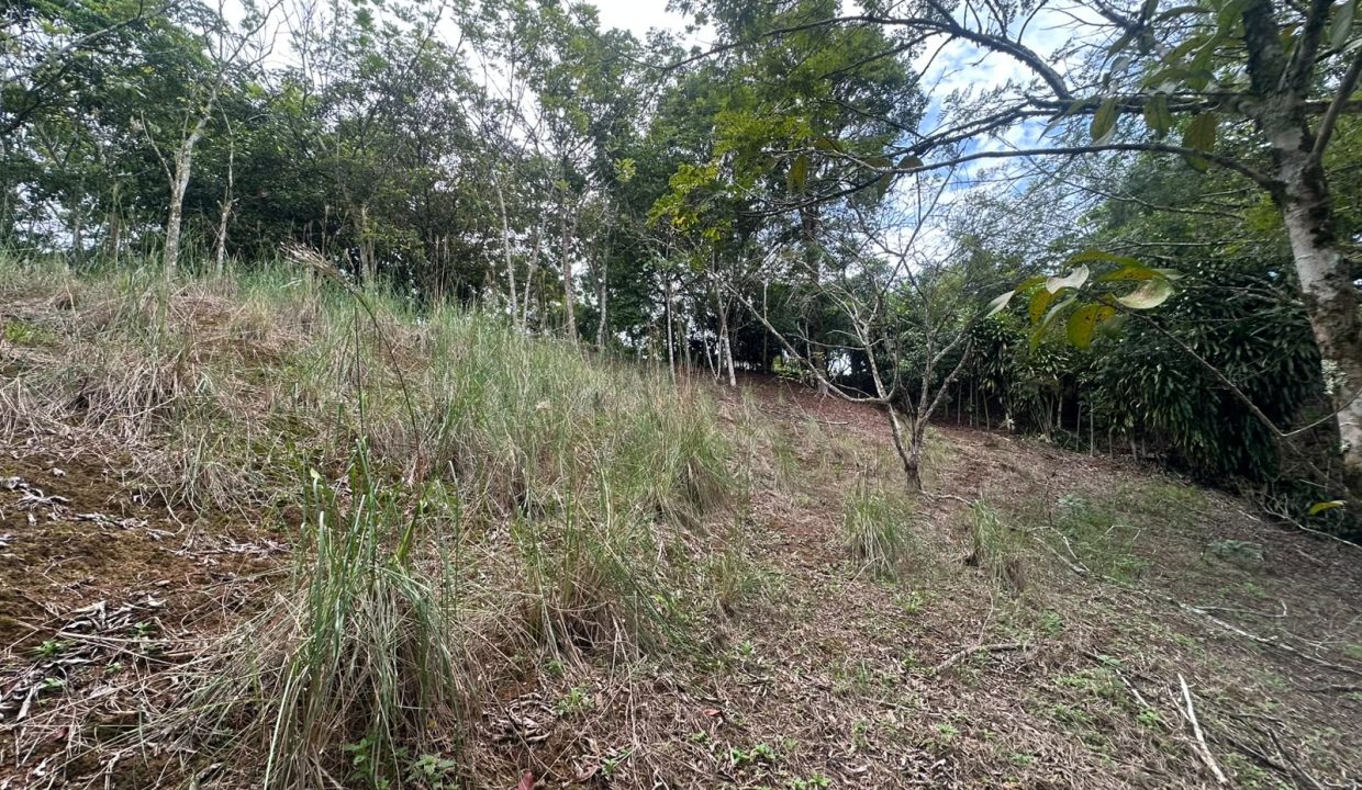 Lote en venta Perez Zeledon Costa Rica (5)