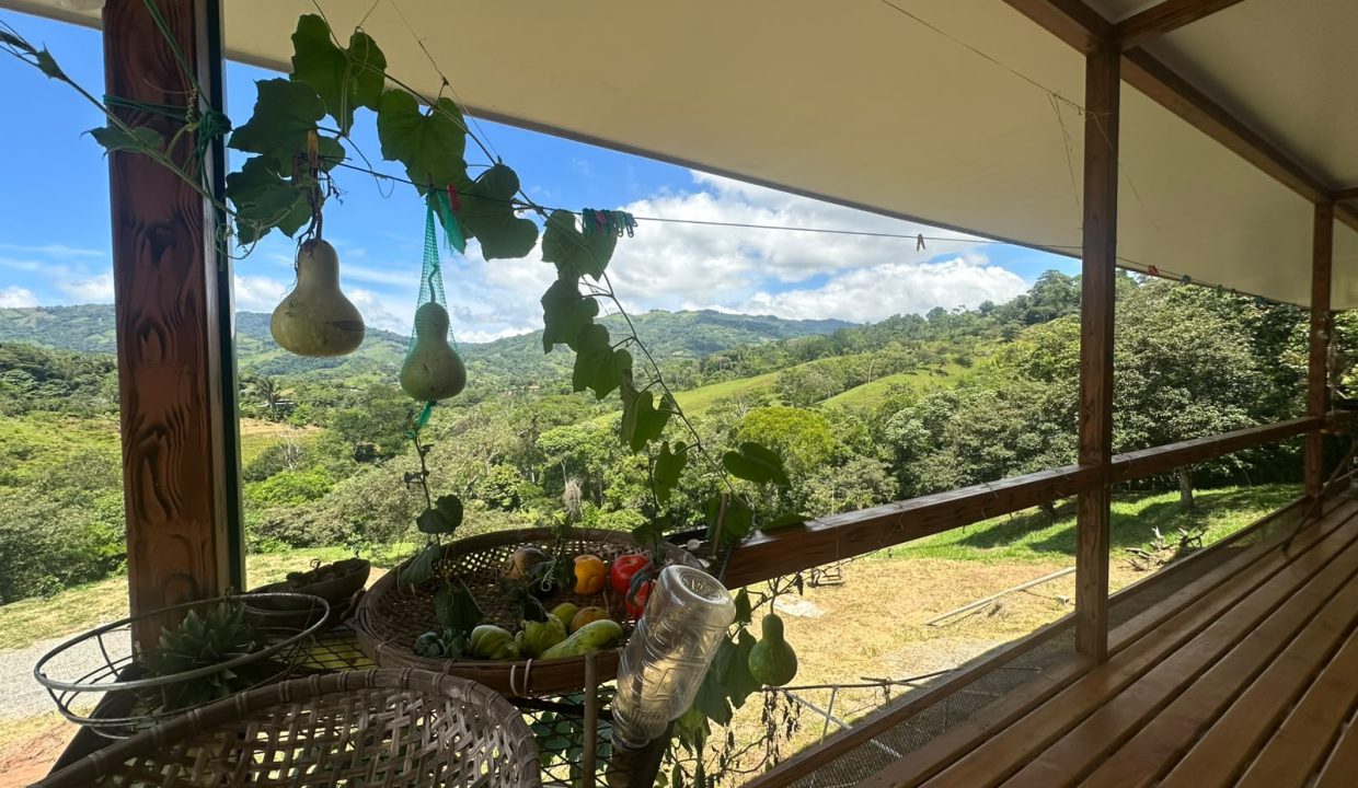Venta casa santa rosa perez zeledon (13)