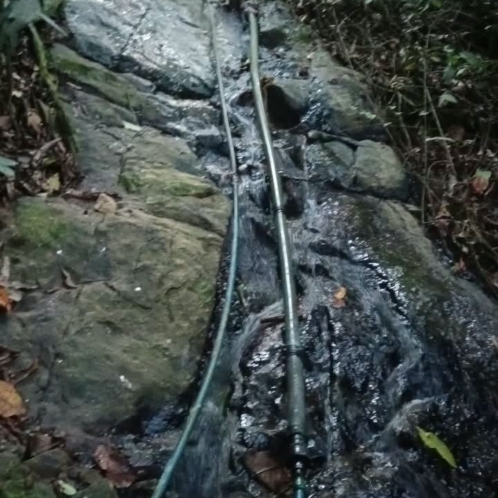 F Quebrada (1)