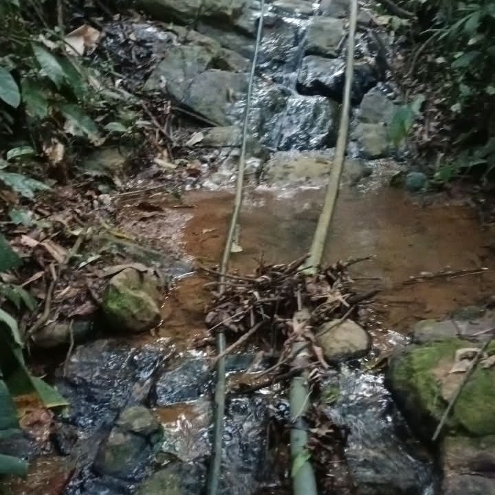 F Quebrada (3)