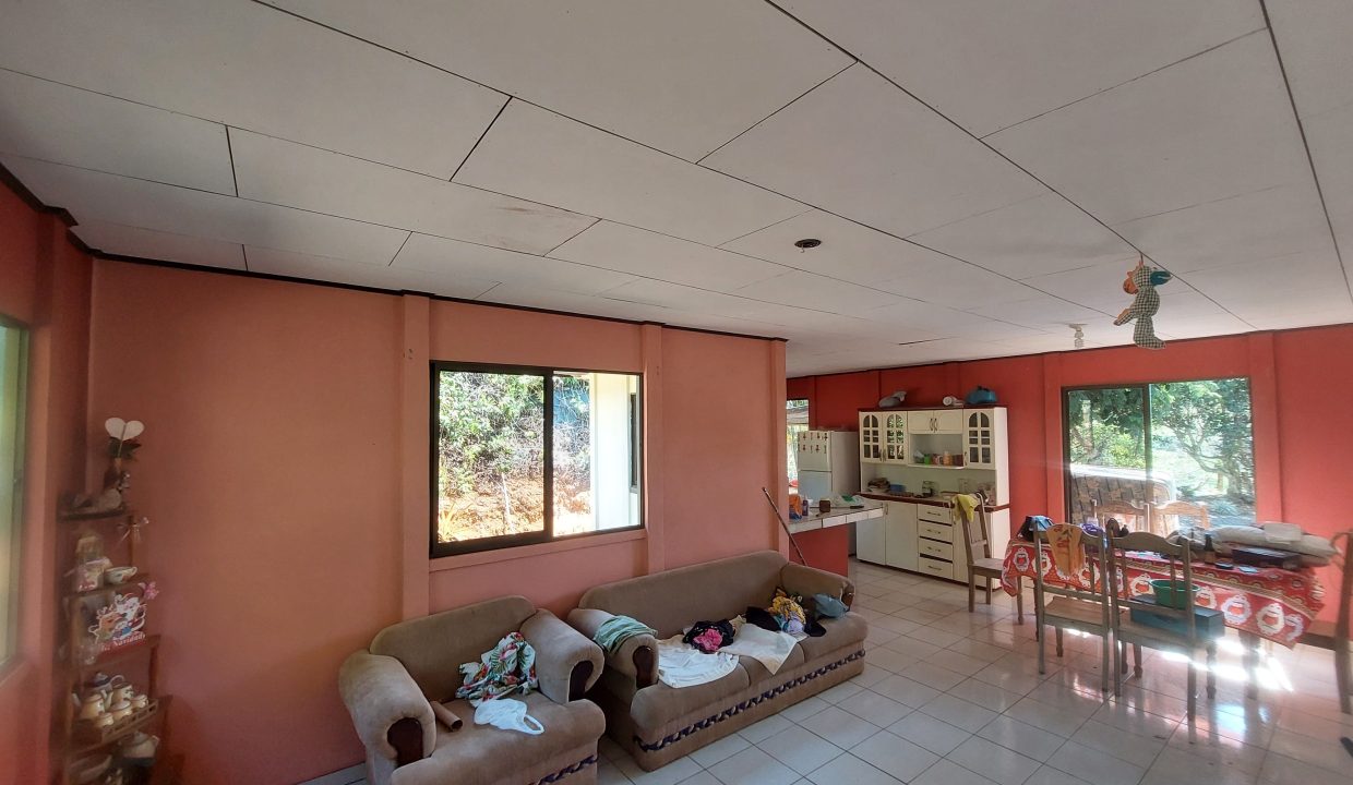 F Studio aparta y quebrada Perez Zeledon Costa Rica (8)