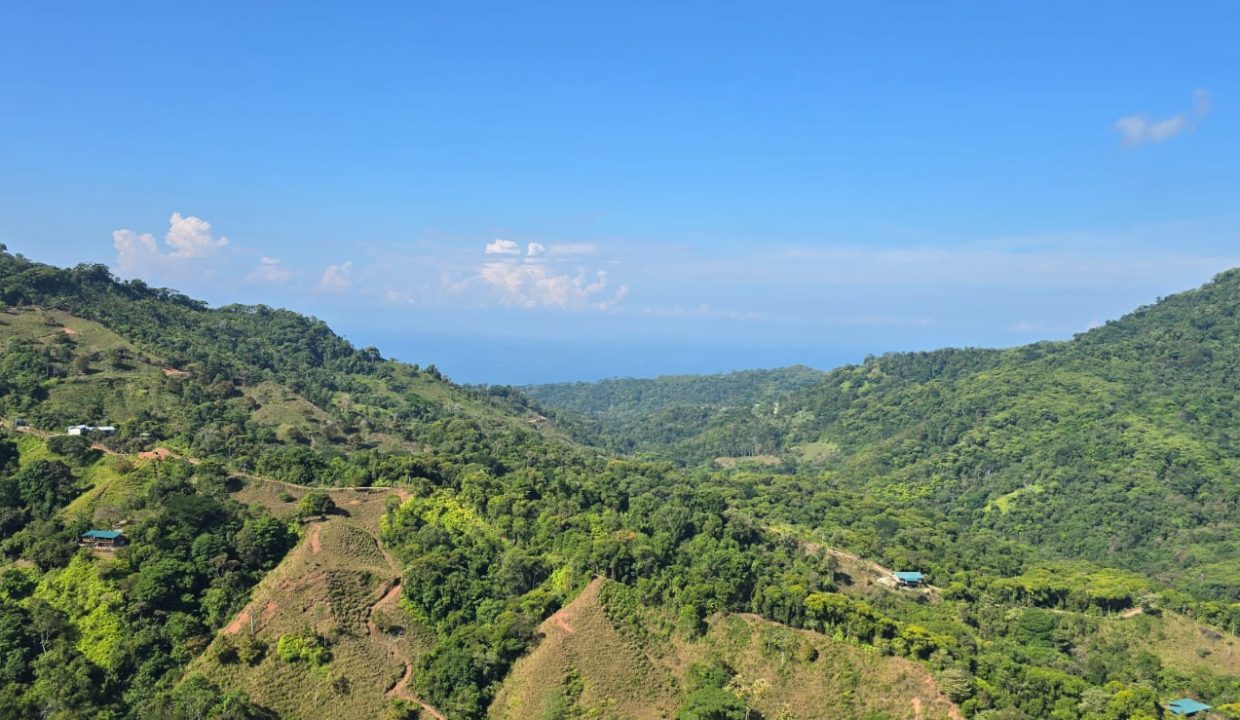 FINCA EN VENTA OSA COSTA RICA (1)