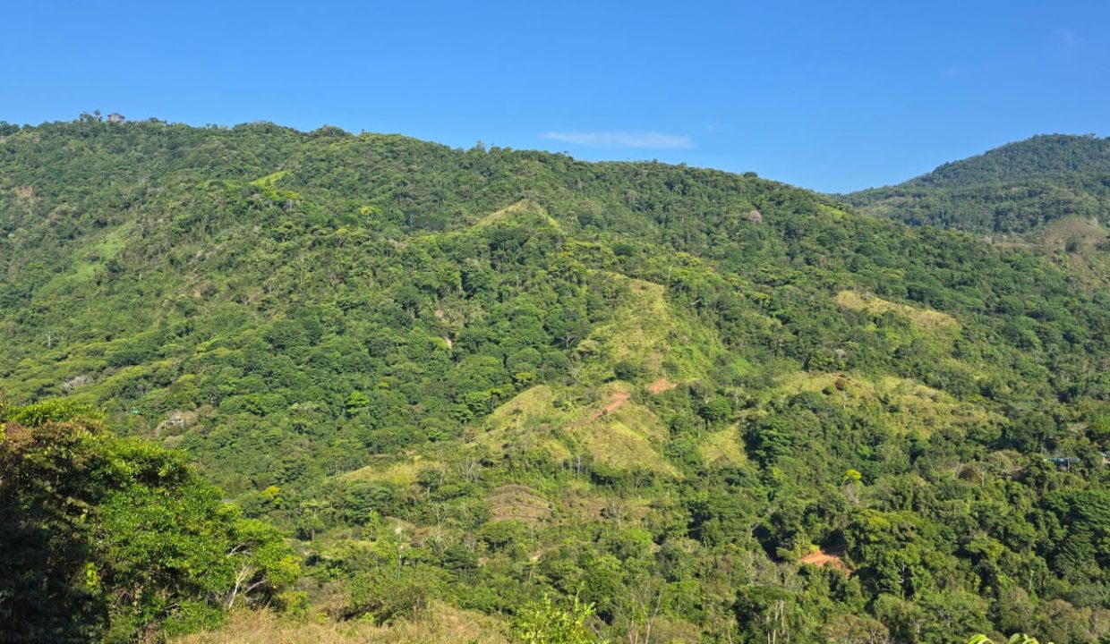 FINCA EN VENTA OSA COSTA RICA (10)