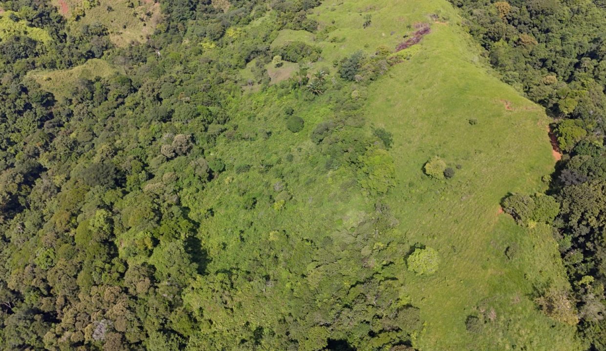 FINCA EN VENTA OSA COSTA RICA (16)