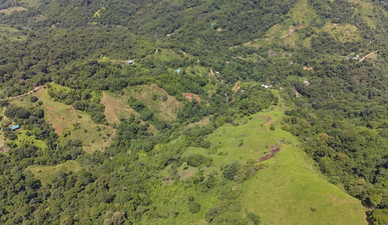 FINCA EN VENTA OSA COSTA RICA (17)