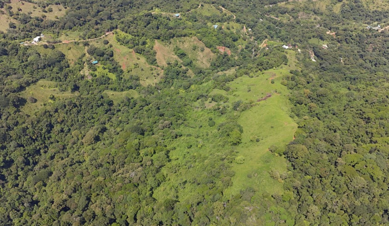 FINCA EN VENTA OSA COSTA RICA (18)