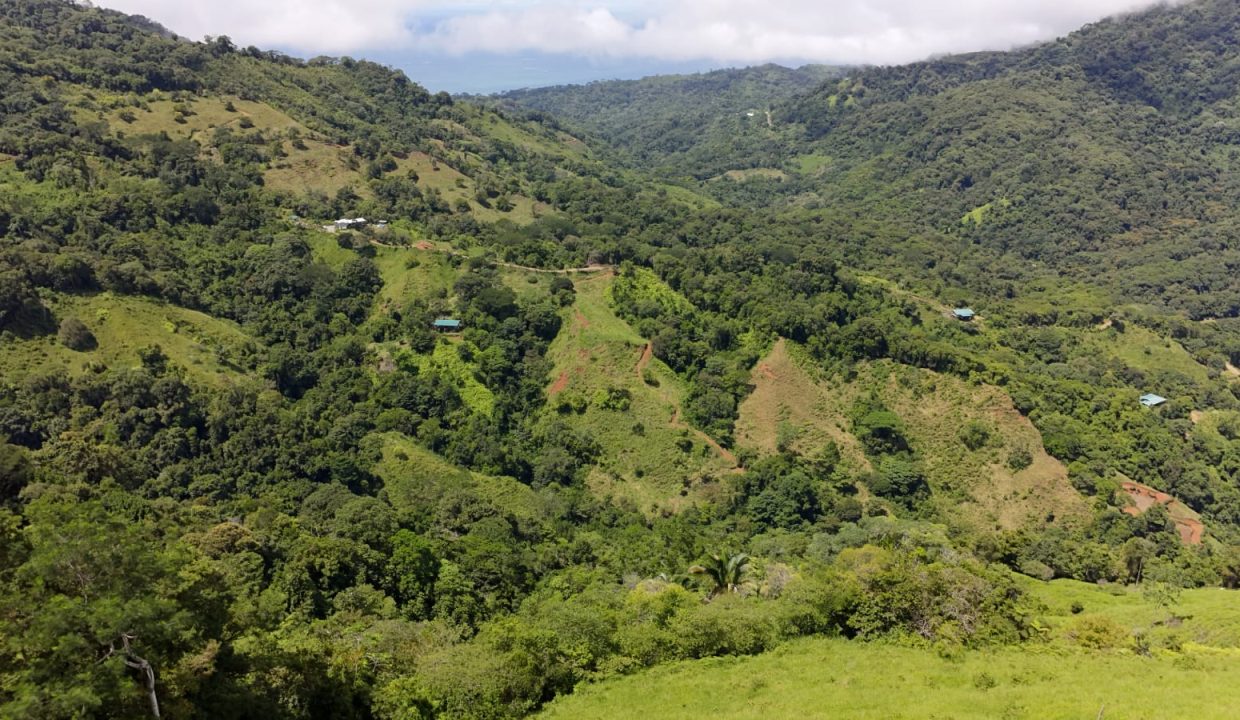 FINCA EN VENTA OSA COSTA RICA (19)