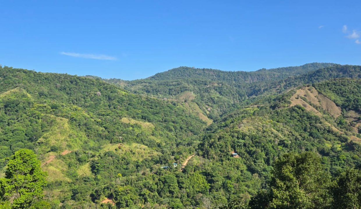 FINCA EN VENTA OSA COSTA RICA (2)