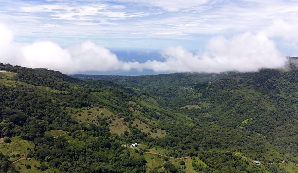 FINCA EN VENTA OSA COSTA RICA (21)