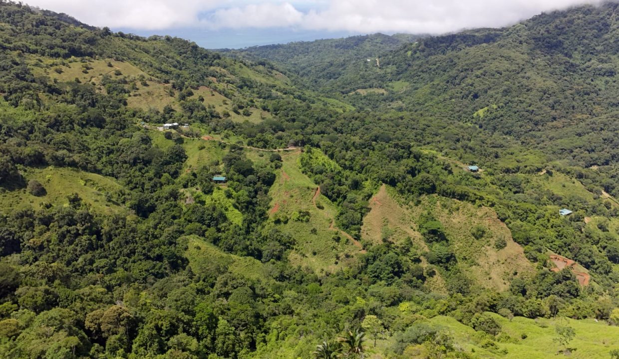 FINCA EN VENTA OSA COSTA RICA (22)