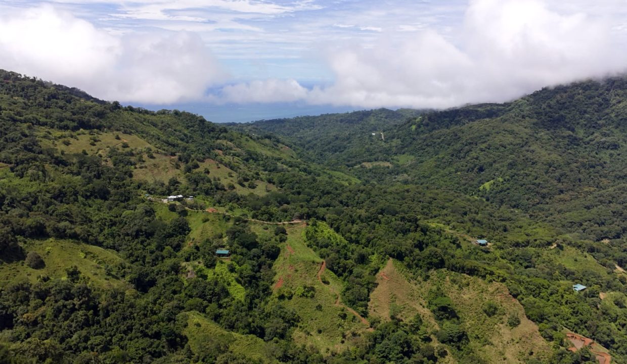 FINCA EN VENTA OSA COSTA RICA (23)