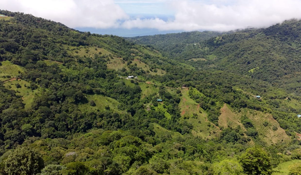 FINCA EN VENTA OSA COSTA RICA (26)
