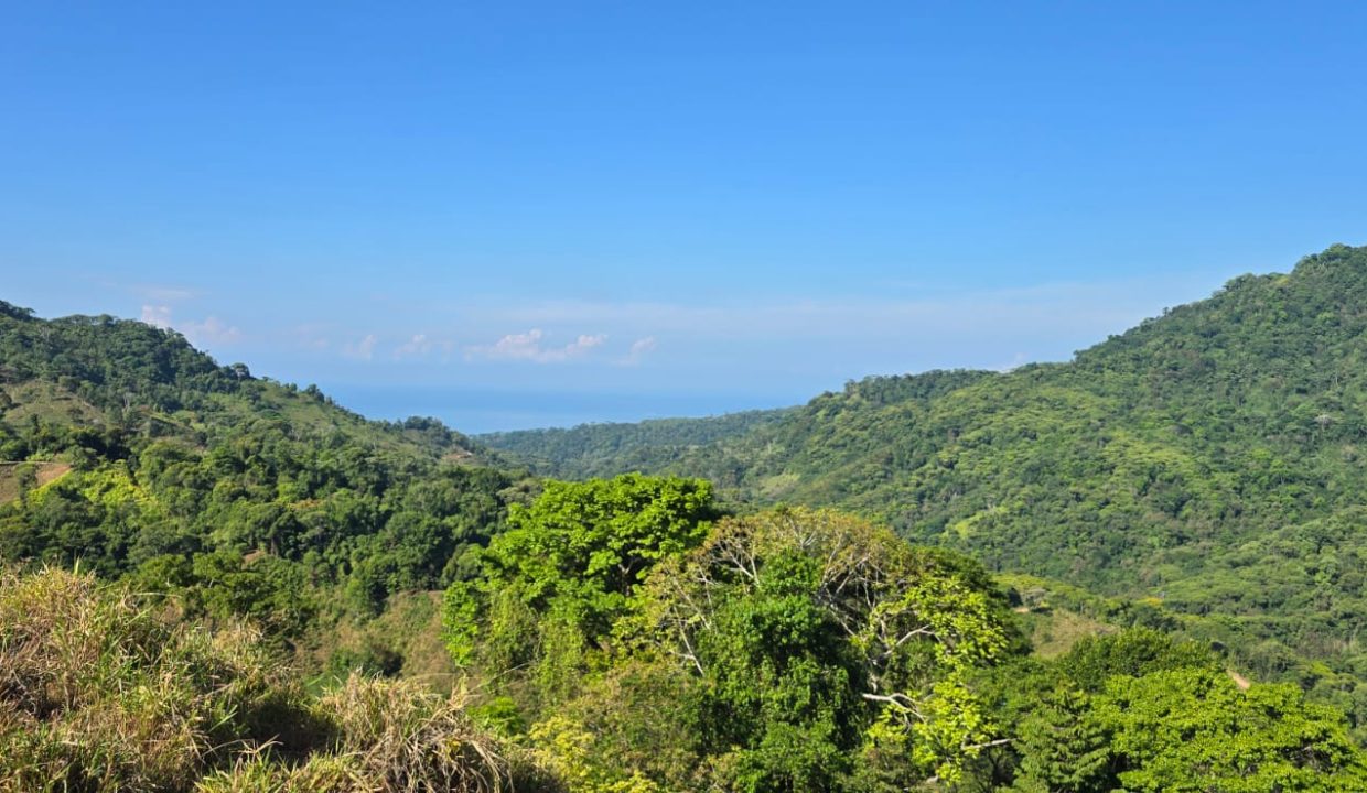 FINCA EN VENTA OSA COSTA RICA (3)