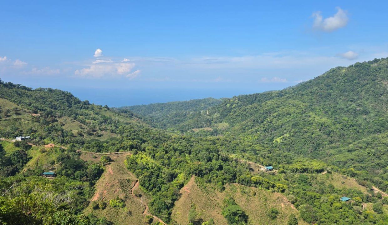 FINCA EN VENTA OSA COSTA RICA (4)