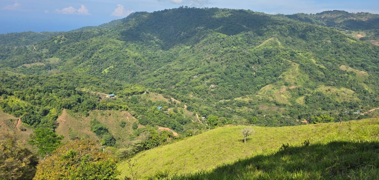 FINCA EN VENTA OSA COSTA RICA (46)