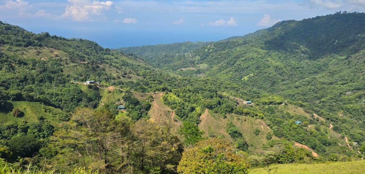 FINCA EN VENTA OSA COSTA RICA (48)