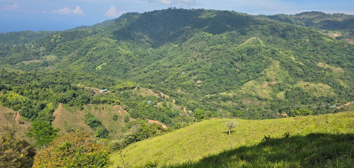 FINCA EN VENTA OSA COSTA RICA (49)